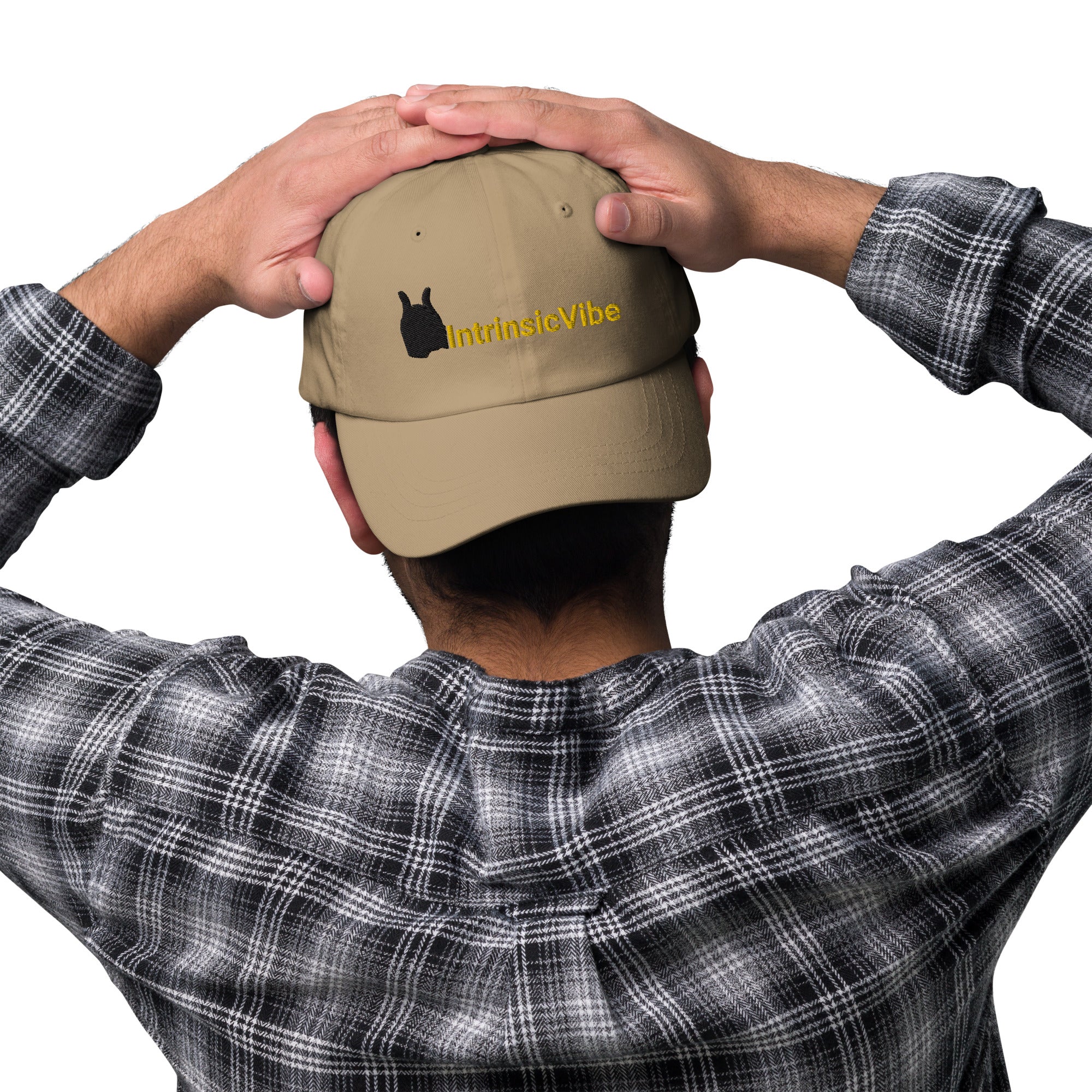 IntrinsicVibe Dad hat