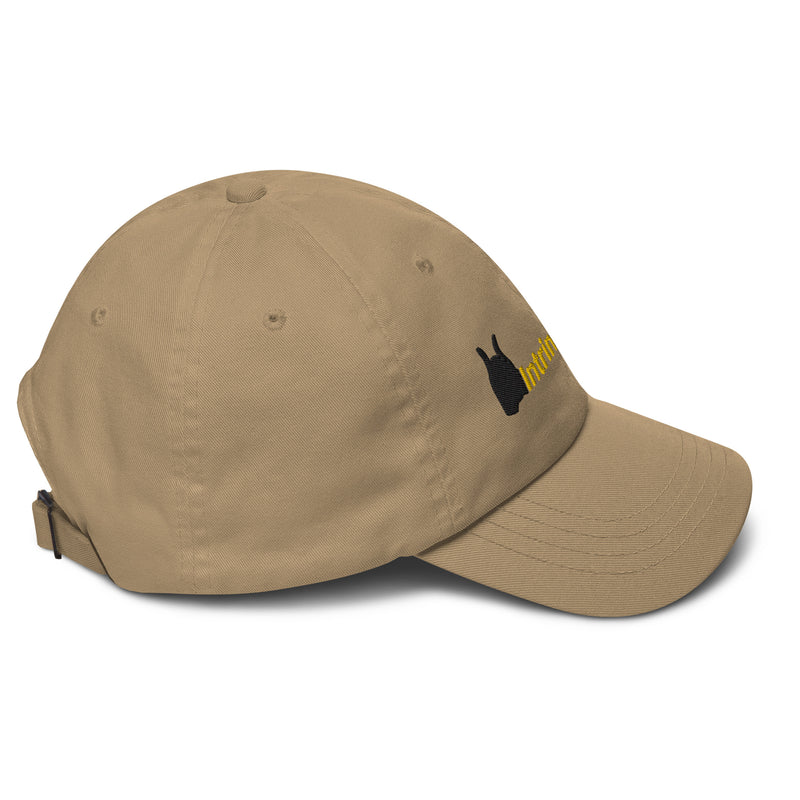 IntrinsicVibe Dad hat