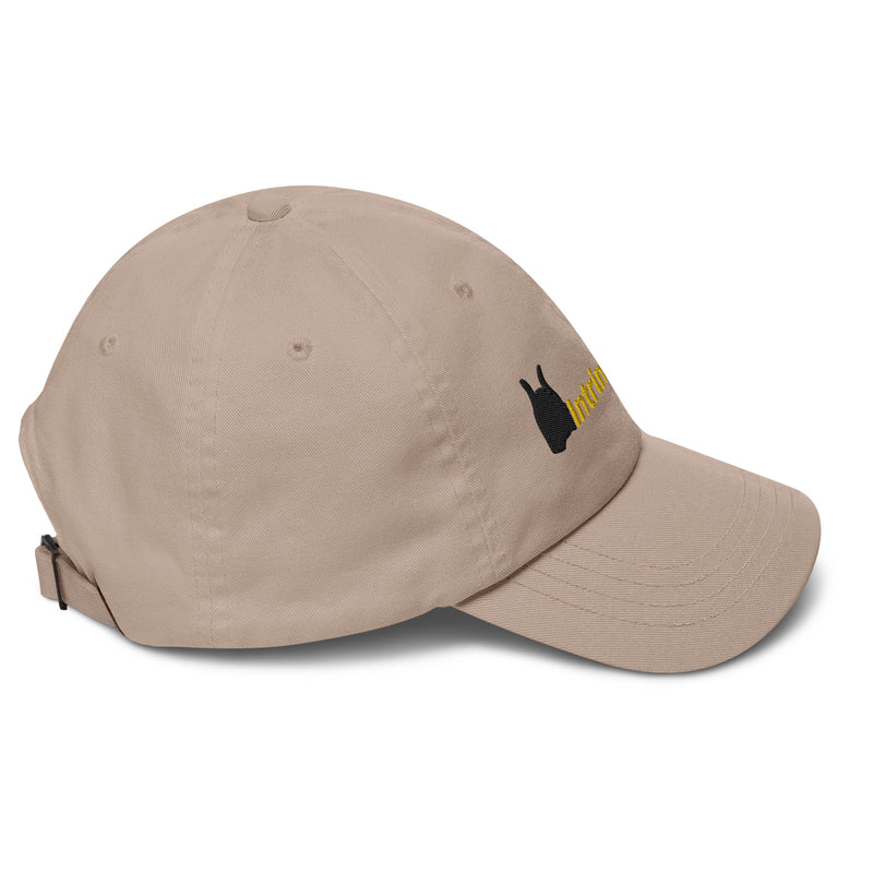 IntrinsicVibe Dad hat